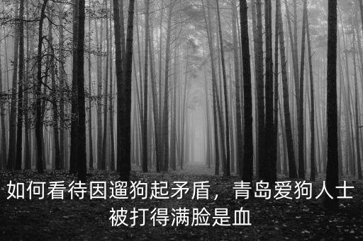 河南愛狗人士怎么樣,愛狗人士遛狗不栓繩