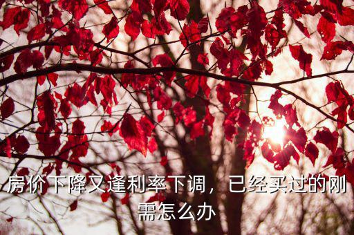 房價下降又逢利率下調，已經買過的剛需怎么辦