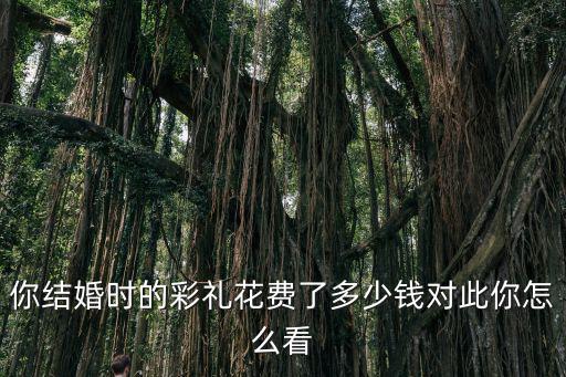 你結婚時的彩禮花費了多少錢對此你怎么看