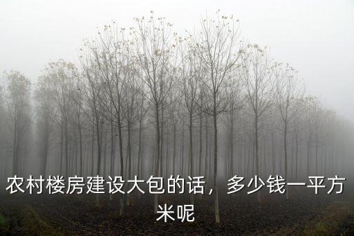 農村樓房建設大包的話，多少錢一平方米呢