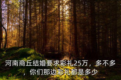 河南商丘結婚要求彩禮25萬，多不多，你們那邊彩禮都是多少