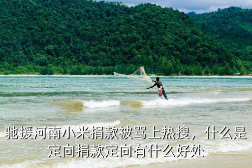 馳援河南小米捐款被罵上熱搜，什么是定向捐款定向有什么好處