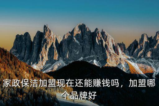 家政保潔加盟現(xiàn)在還能賺錢嗎，加盟哪個品牌好
