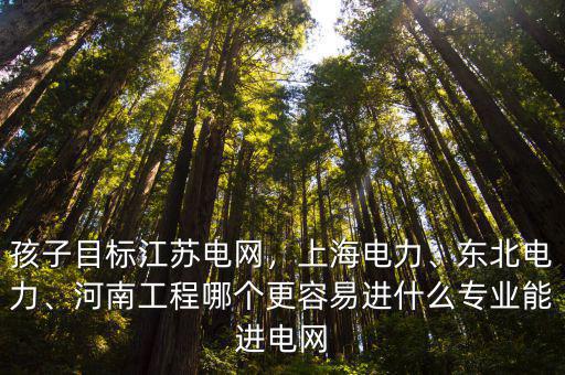 孩子目標江蘇電網，上海電力、東北電力、河南工程哪個更容易進什么專業能進電網
