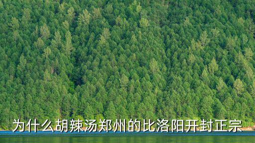 為什么胡辣湯鄭州的比洛陽開封正宗