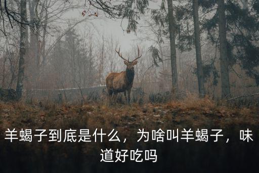羊蝎子到底是什么，為啥叫羊蝎子，味道好吃嗎