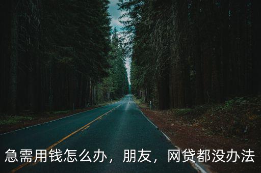 急需用錢怎么辦，朋友，網貸都沒辦法
