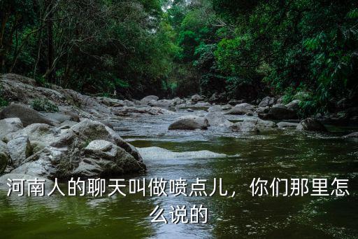 河南人的聊天叫做噴點兒，你們那里怎么說的