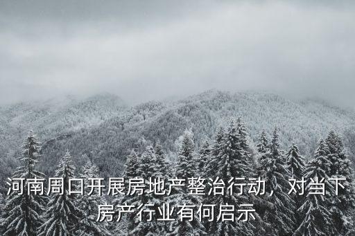 河南周口開展房地產(chǎn)整治行動，對當(dāng)下房產(chǎn)行業(yè)有何啟示