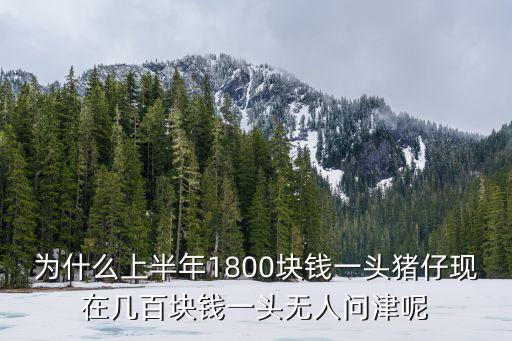 信陽豬仔多少錢一頭,各省市分別多少錢一頭