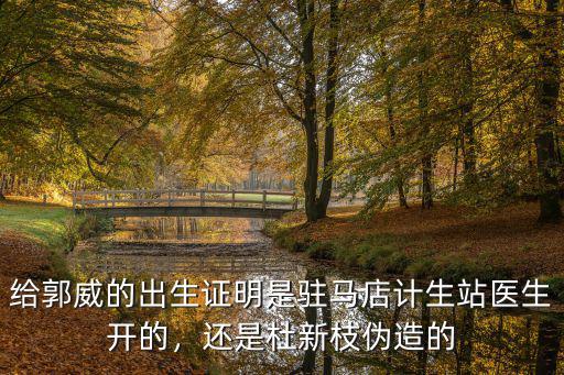 杜新枝怎么去駐馬店安家的,還是杜新枝偽造的