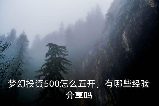 夢幻投資500怎么五開，有哪些經驗分享嗎