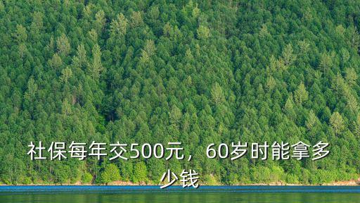 社保每年交500元，60歲時能拿多少錢