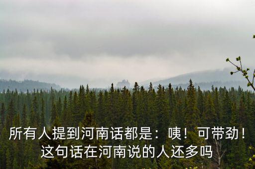 所有人提到河南話都是：咦！可帶勁！這句話在河南說的人還多嗎