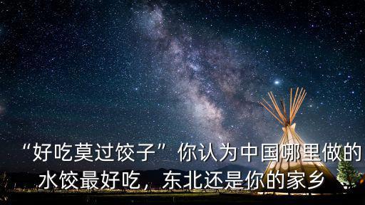 “好吃莫過餃子”你認為中國哪里做的水餃最好吃，東北還是你的家鄉