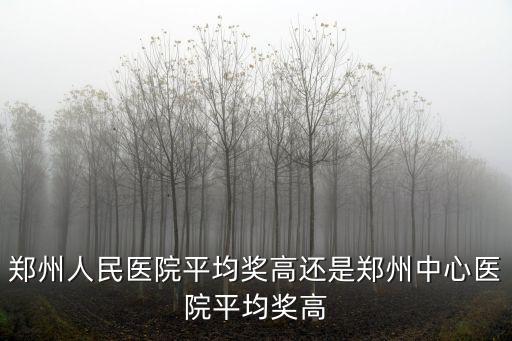 鄭州人民醫(yī)院平均獎(jiǎng)高還是鄭州中心醫(yī)院平均獎(jiǎng)高