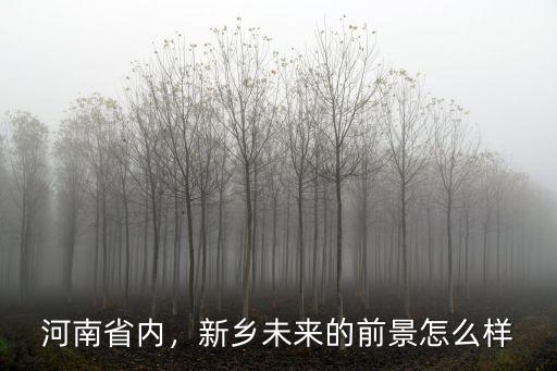 河南省內，新鄉未來的前景怎么樣