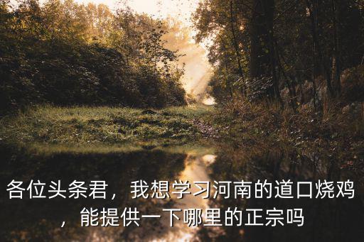 各位頭條君，我想學(xué)習(xí)河南的道口燒雞，能提供一下哪里的正宗嗎