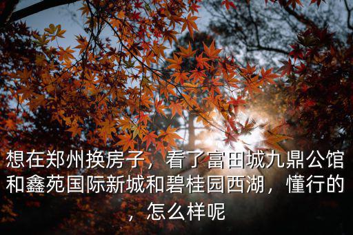 想在鄭州換房子，看了富田城九鼎公館和鑫苑國(guó)際新城和碧桂園西湖，懂行的，怎么樣呢