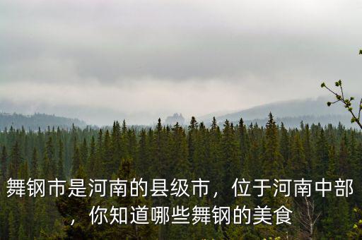 舞鋼市是河南的縣級市，位于河南中部，你知道哪些舞鋼的美食
