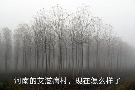 河南的艾滋病村，現在怎么樣了