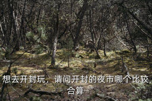 想去開封玩，請問開封的夜市哪個比較合算