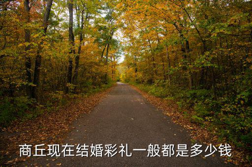 商丘現(xiàn)在結(jié)婚彩禮一般都是多少錢