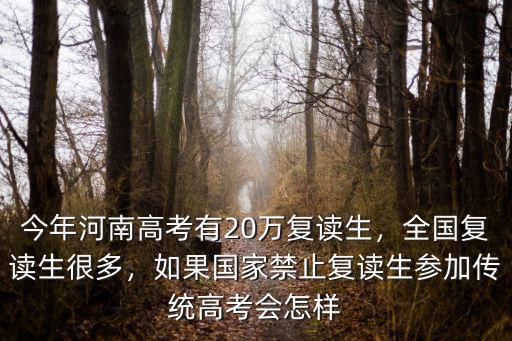 今年河南高考有20萬復讀生，全國復讀生很多，如果國家禁止復讀生參加傳統高考會怎樣