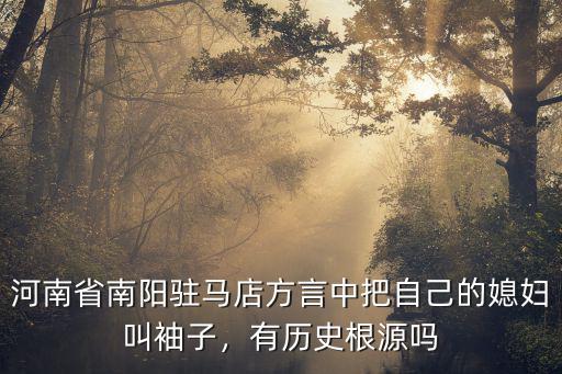 河南媳婦方言怎么說,我用你們家鄉(xiāng)方言怎么說