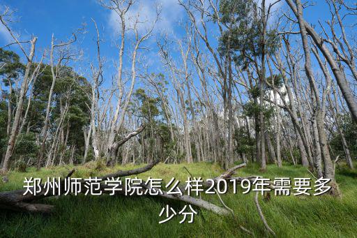鄭州師范學(xué)院怎么樣2019年需要多少分