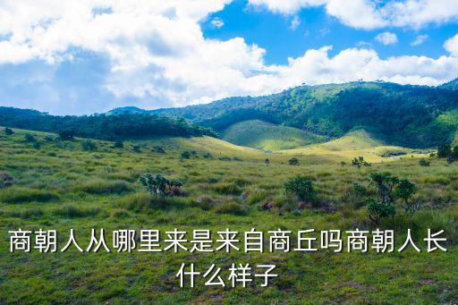 商朝人從哪里來是來自商丘嗎商朝人長什么樣子