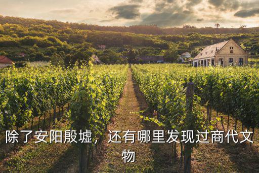 安陽(yáng)殷墟頻遭盜掘是怎么發(fā)現(xiàn)的,商朝是怎么被發(fā)現(xiàn)的