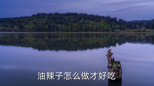 油辣子怎么做才好吃