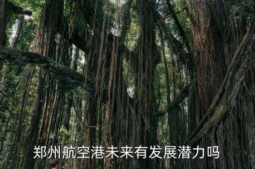 鄭州航空港水務(wù)發(fā)展怎么樣,鄭州航空港未來有發(fā)展?jié)摿?/></a></span><span id=