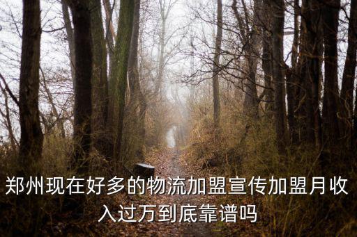 鄭州現(xiàn)在好多的物流加盟宣傳加盟月收入過萬到底靠譜嗎