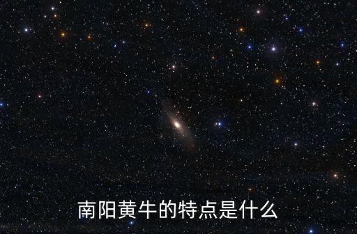 南陽黃牛的特點是什么