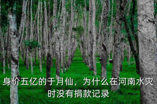 身價(jià)五億的于月仙，為什么在河南水災(zāi)時(shí)沒有捐款記錄