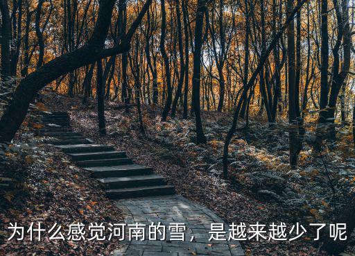 為什么感覺河南的雪，是越來越少了呢