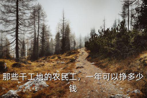 那些干工地的農民工，一年可以掙多少錢