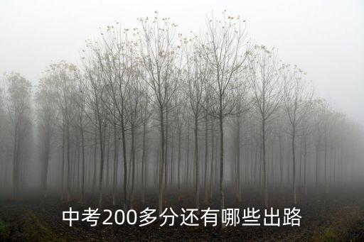 中考200多分還有哪些出路