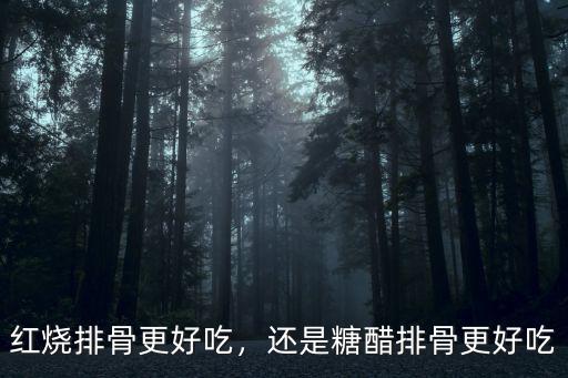 紅燒排骨更好吃，還是糖醋排骨更好吃