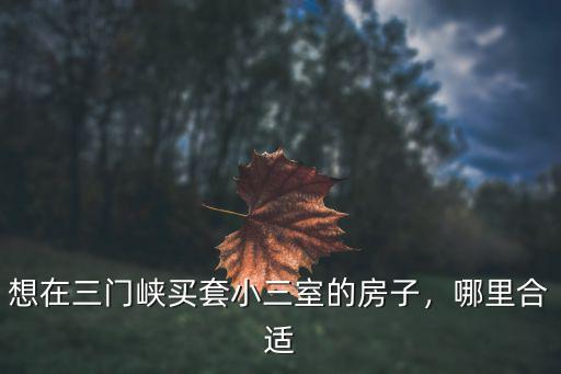 想在三門峽買套小三室的房子，哪里合適