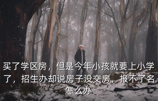 買了學區房，但是今年小孩就要上小學了，招生辦卻說房子沒交房，報不了名怎么辦