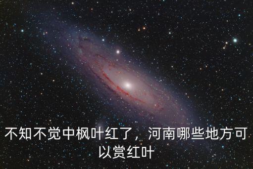 不知不覺中楓葉紅了，河南哪些地方可以賞紅葉