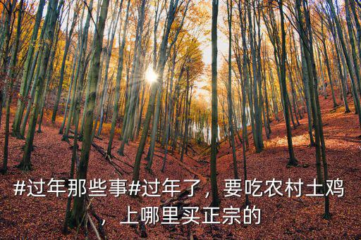 鄭州哪里買正宗叫花雞,上哪里買正宗的