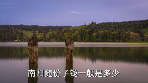 南陽隨份子錢一般是多少