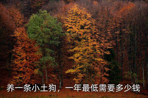 養(yǎng)一條小土狗，一年最低需要多少錢