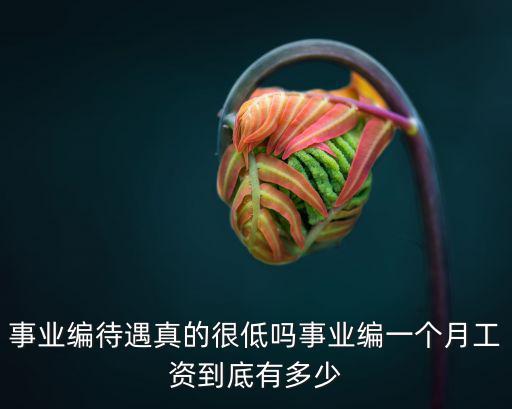 事業編待遇真的很低嗎事業編一個月工資到底有多少