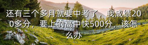 還有三個多月就要中考了，我成績200多分，要上的高中快500分，該怎么辦