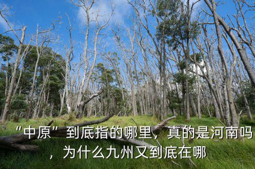 白巖松怎么說河南的,白巖松說河南是什么樣